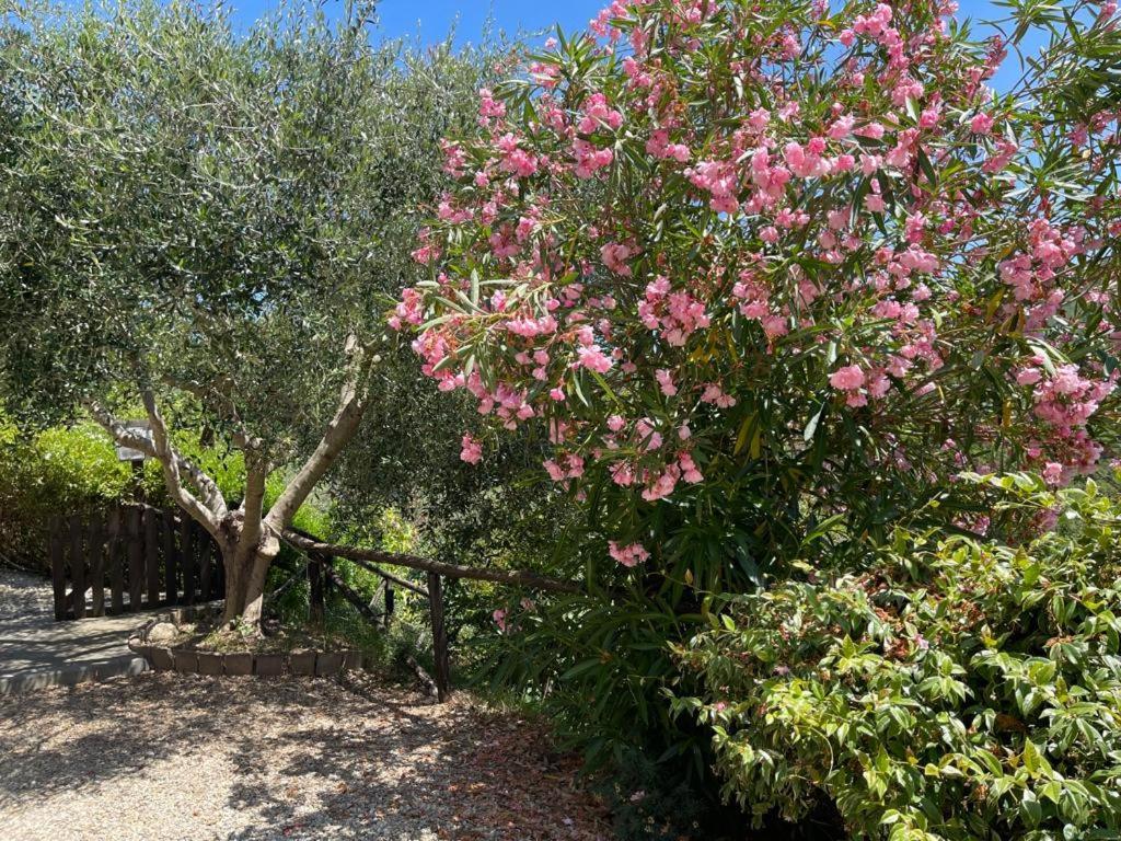 גרלנדה Agriturismo A Canonica מראה חיצוני תמונה