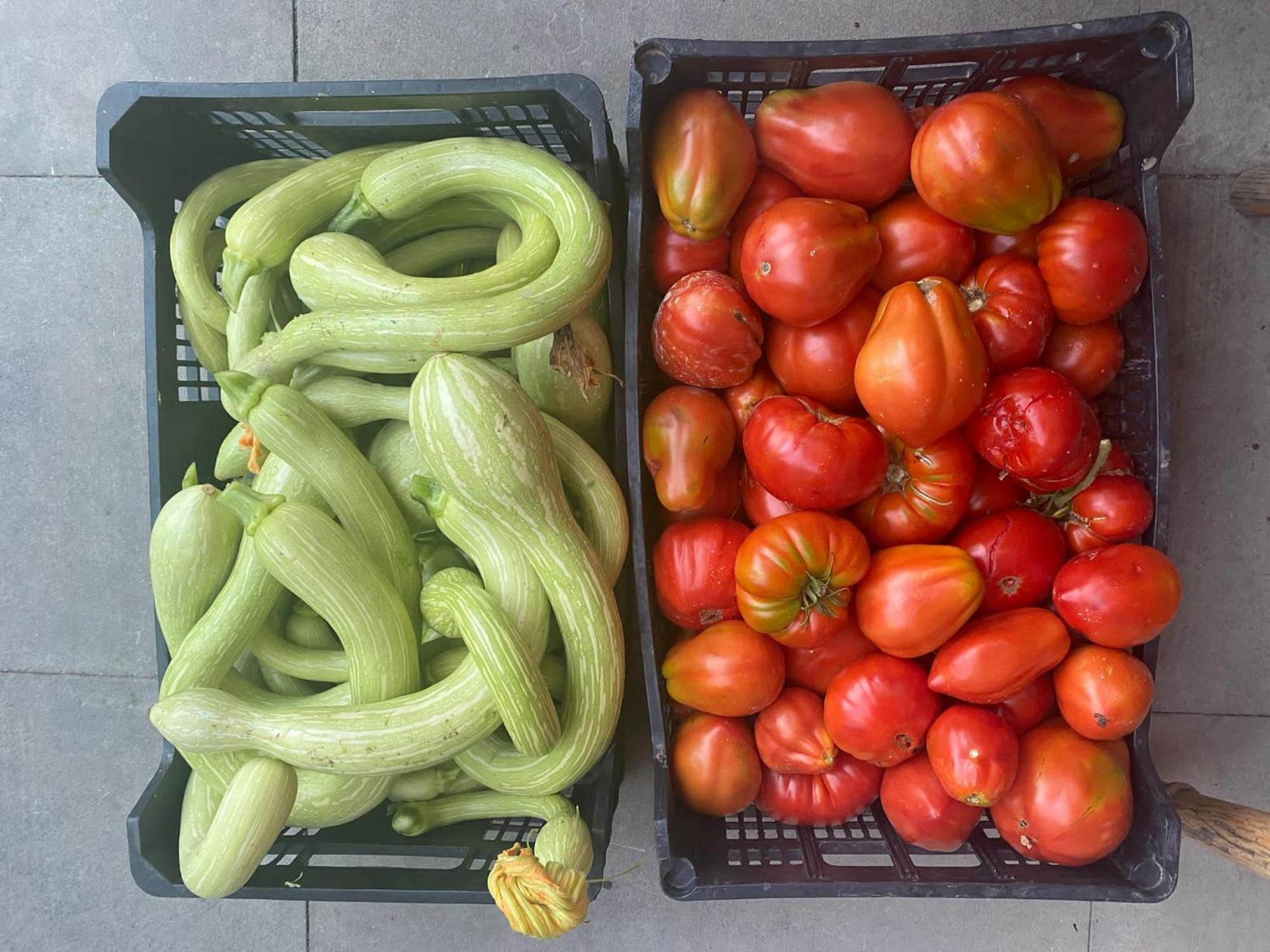 גרלנדה Agriturismo A Canonica מראה חיצוני תמונה