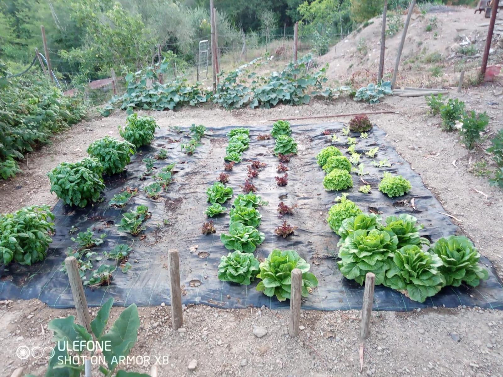 גרלנדה Agriturismo A Canonica מראה חיצוני תמונה