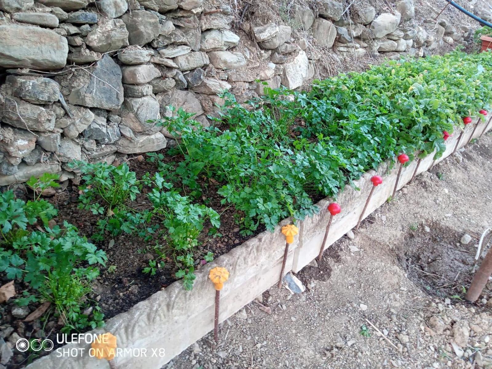 גרלנדה Agriturismo A Canonica מראה חיצוני תמונה
