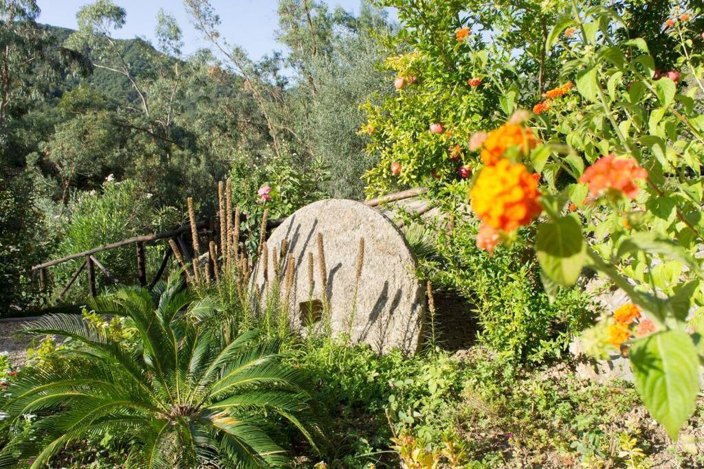 גרלנדה Agriturismo A Canonica מראה חיצוני תמונה