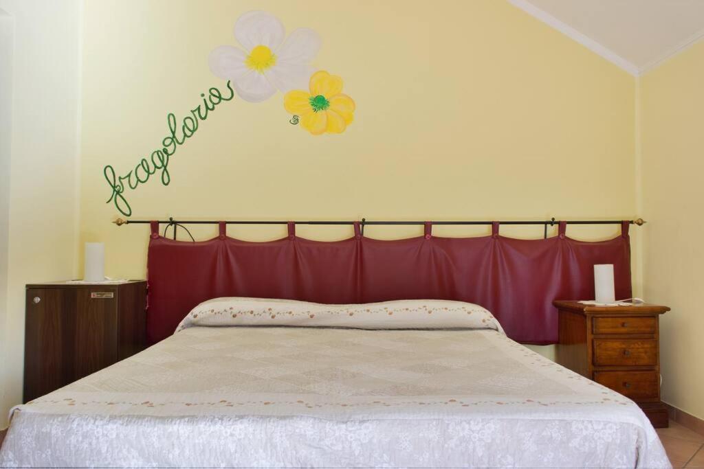גרלנדה Agriturismo A Canonica מראה חיצוני תמונה